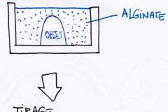 moulage-tirage-alginate.jpg