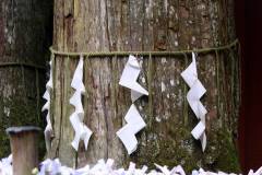 origami-01.jpg