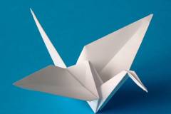 origami-03.jpg