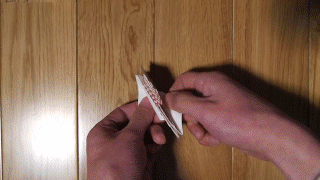 origami-16.gif