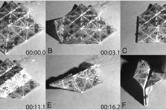 origami-19.jpg