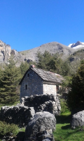 Bergerie, Mercantour