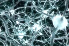 09-neuron-network.jpg