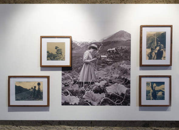 DSC04408RETOUCHE-gigapixel-art-scale-1_00x (1)