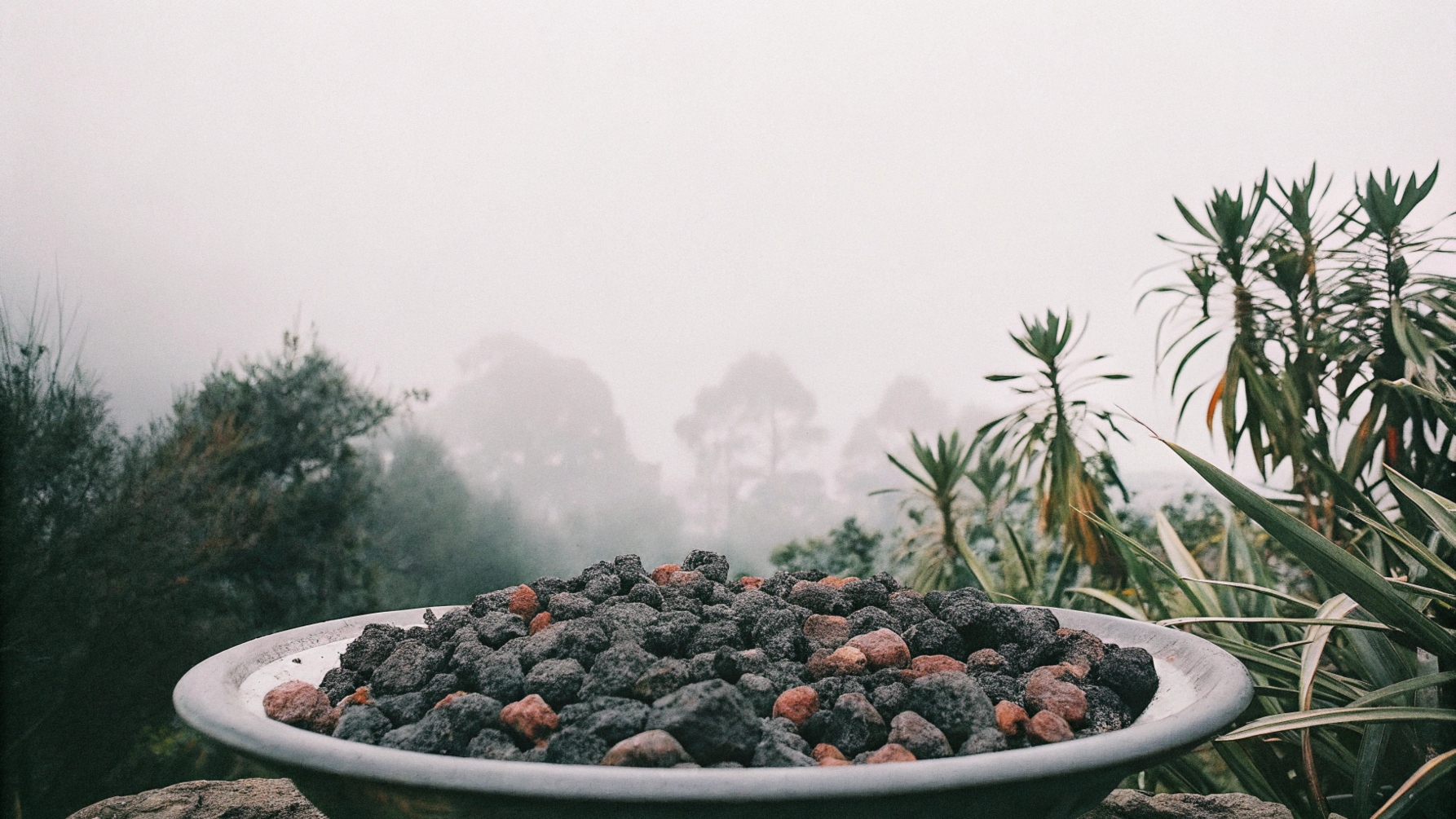 Eat the landscape